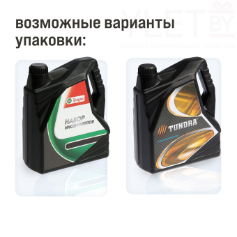Набор инструментов подарочный пластиковый кейс "Канистра", 21 предмет