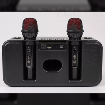 Портативная караоке колонка Marshall KMS-186 Pro с двумя микрофонами