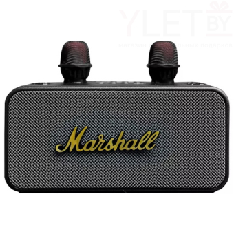Портативная караоке колонка Marshall KMS-186 Pro с двумя микрофонами