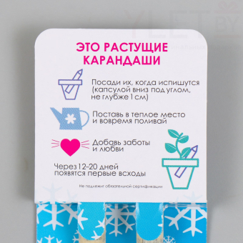 Растущие карандаши подарочные «Голубая Ель + Сосна» 2 шт