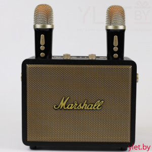 Портативная караоке колонка Marshall MA-530