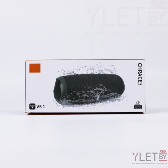 Портативная колонка JBL CHARGE 5 (B17) КАМУФЛЯЖ