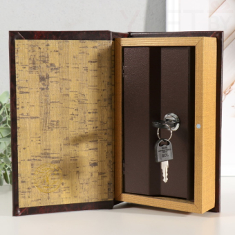 Сейф книга Мой капитал 21х13х5 см