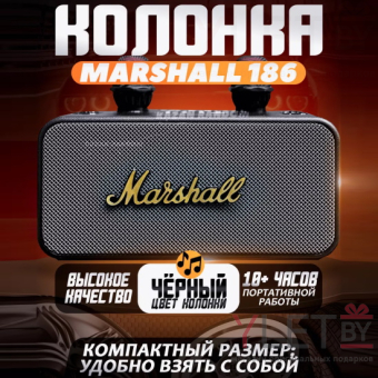 Портативная караоке колонка Marshall KMS-186 Pro с двумя микрофонами