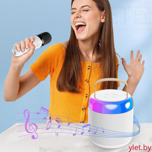 Караоке колонка Bluetooth с микрофоном Белая
