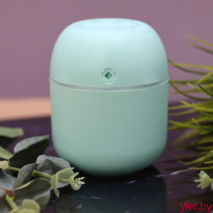 Настольный увлажнитель воздуха - ночник "Lucky flower", green, (портативный, USB)