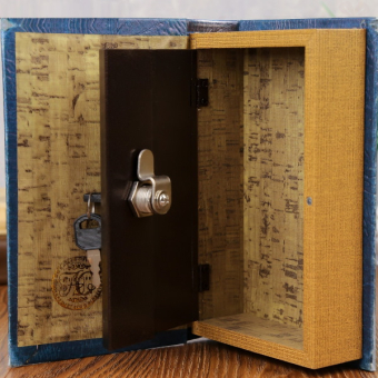 Сейф книга Мои наполеоновские планы, 21х13х5 см