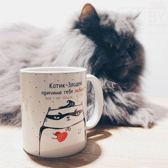 Кружка "Котик злодей - причиню тебе любовь"