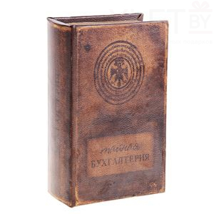 Сейф книга Тайная бухгалтерия, 21х13х5 см
