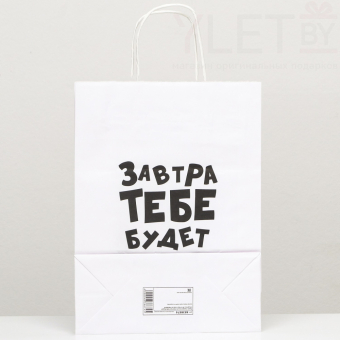 Пакет подарочный Завтра тебе будет стыдно, 24 х 10.5 х 32 см