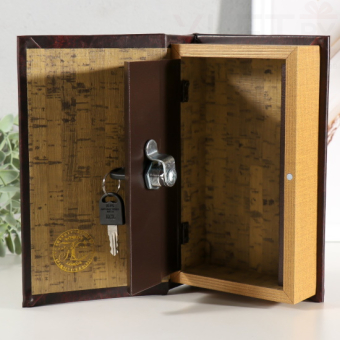 Сейф книга Мой капитал 21х13х5 см